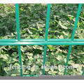 Fournir Q235-A Double Wire Fences, mailles pour vente chaude (fabricant)